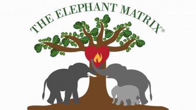 The Elephant Matrix