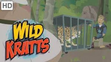 Wild Kratts - The Wildlife Heroes Saving One Animal at a Time