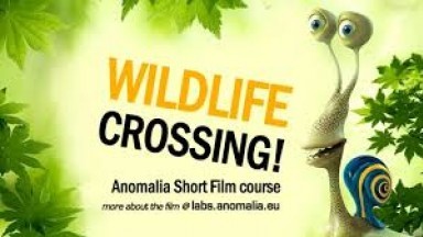 Wildlife Crossing