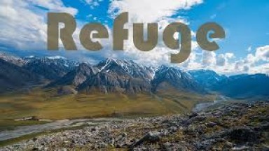 Refuge - Short Film