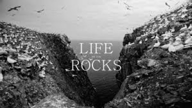 Life On The Rocks (Award Winning Short Film)