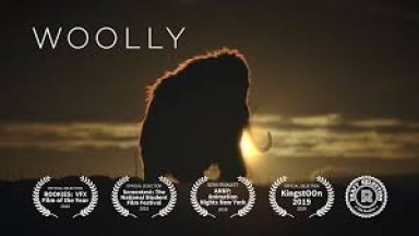 Woolly | A Wildlife Documentary