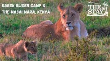 Masai Mara &amp; The Karen Blixen Camp: Unrivalled Wildlife &amp; Conservation in Kenya | The Stay TV